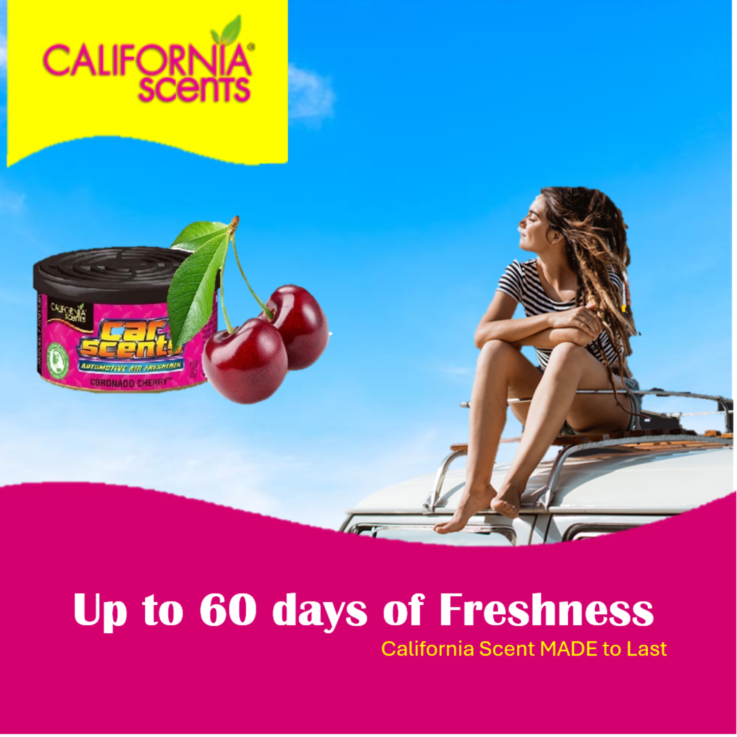 California Scents & Little Trees Air Fresheners | Car Cleaning Kit with Brush & Microfibre Towel